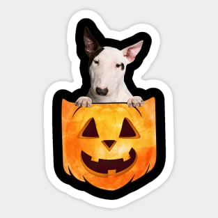 Bull Terrier Dog In Pumpkin Pocket Halloween Sticker